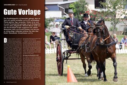 brustblatt 36